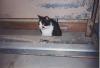 19950400_Acord_EddieNote_R.jpeg