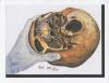 19790000_A_np_JamesAcord_SkullHandDrawing.jpeg