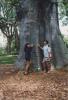 19980500_P_np_Galores_BaobabTreeHIR.jpeg