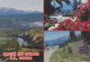 19940620_L_Seattle_JamesAcord_ToGaloreR.jpeg